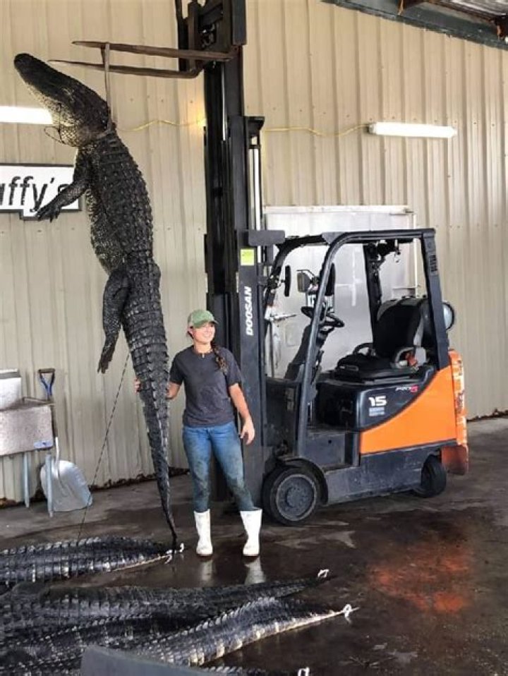 Tracy Hinson Height, Weight, Net Worth, Age, Birthday, Wikipedia, Who, Instagram, Biography